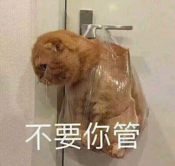 超搞笑可爱的表情包,满脸写着高兴,浑身充满干劲