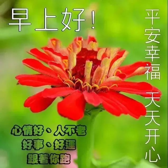 6月8日早晨好的问候语图片表情 发朋友圈好看的早晨