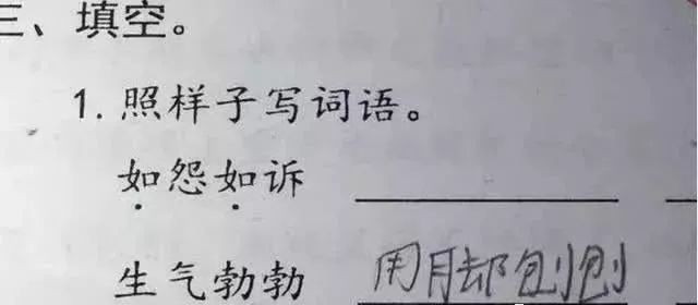 俩开头的成语有什么_脸开头的成语有什么(3)