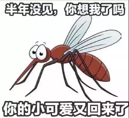 关于蚊子的表情包:请问你为什么咬我