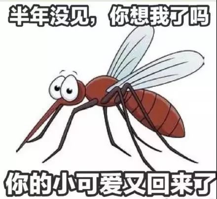 开灯打蚊子