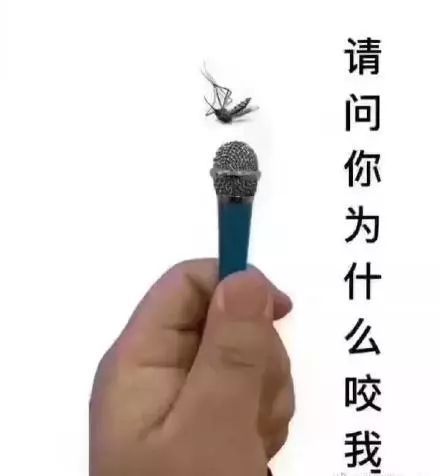 【搞笑表情包小师妹宣】