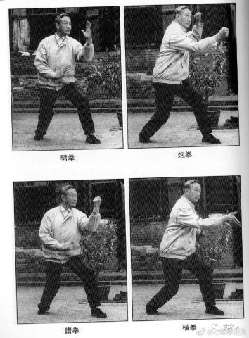 宋氏形意拳嫡传宋光华先生演练的三体式,五行拳和十二形拳照