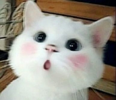 640