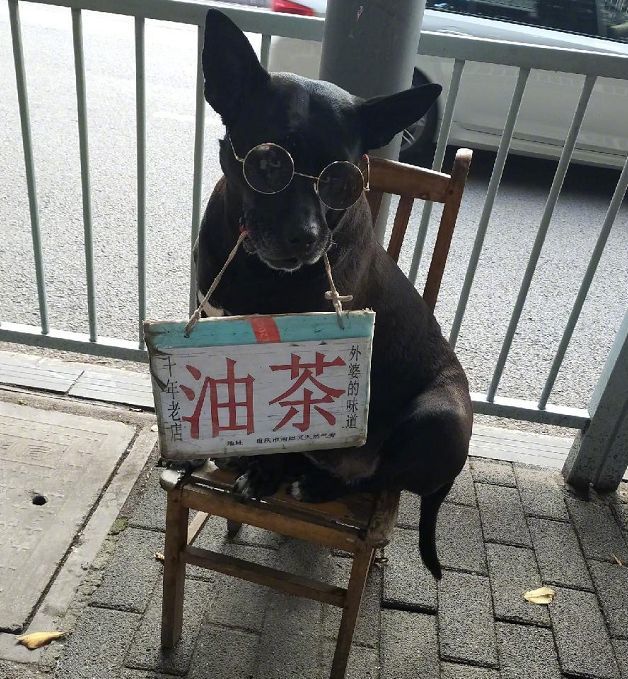 生活哪有那么容易,搬砖当鸭都需要体力丨爆笑囧图