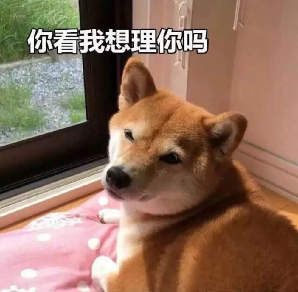 (吐槽:这明明更像没有睡醒的样子)