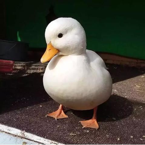 640