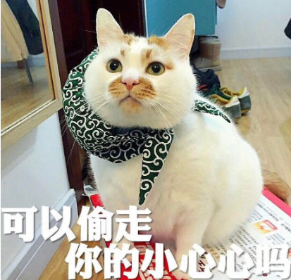 ins情侣专属的"喵咪卖萌"表情包,请问谁在呼唤本可爱?