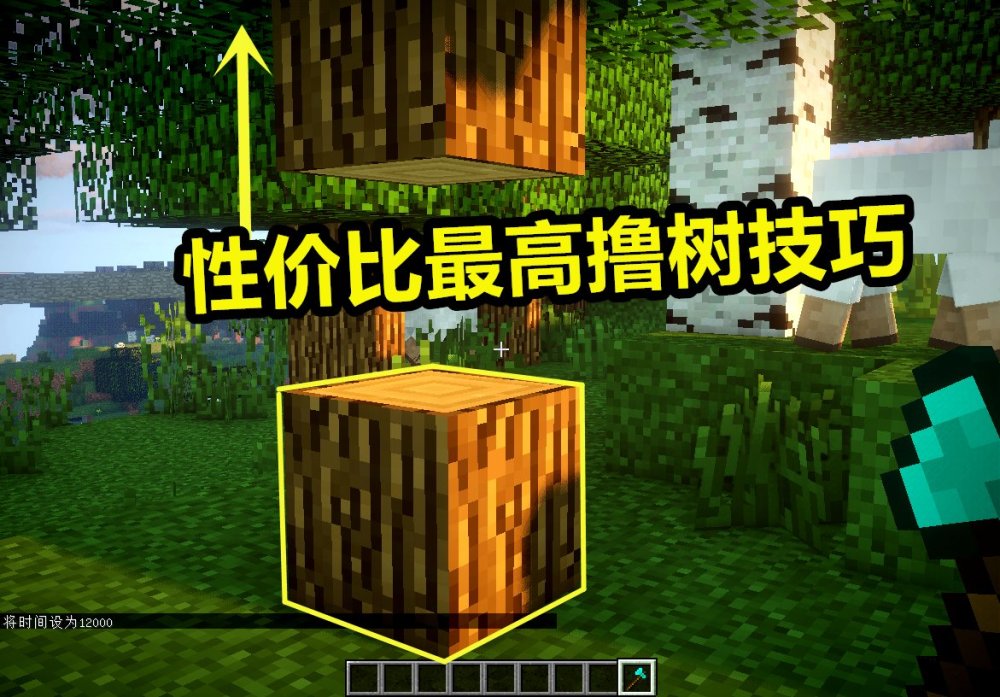 1000