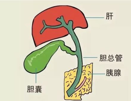 640