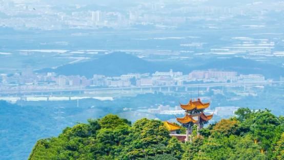东莞市免费的旅游景点[东莞市免费的旅游景点大全]