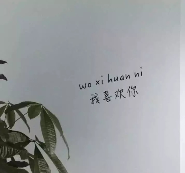 最近火了"别期待"背景图:对任何人 过分期待都是一件危险的事