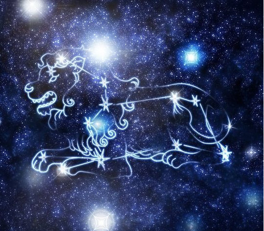 星座排行_十二星座排行(5)