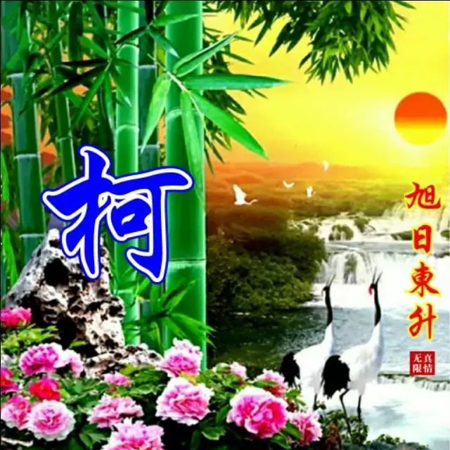 100张宁静致远,大展宏图,竹报平安等系列姓氏微信头像
