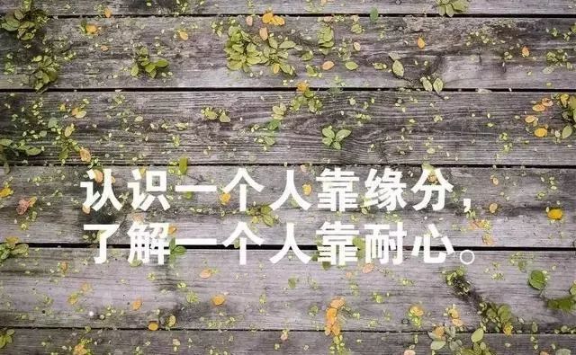 这一世所到之地,都不过是故地重游.这世间所有相遇,都不过是久别重逢.