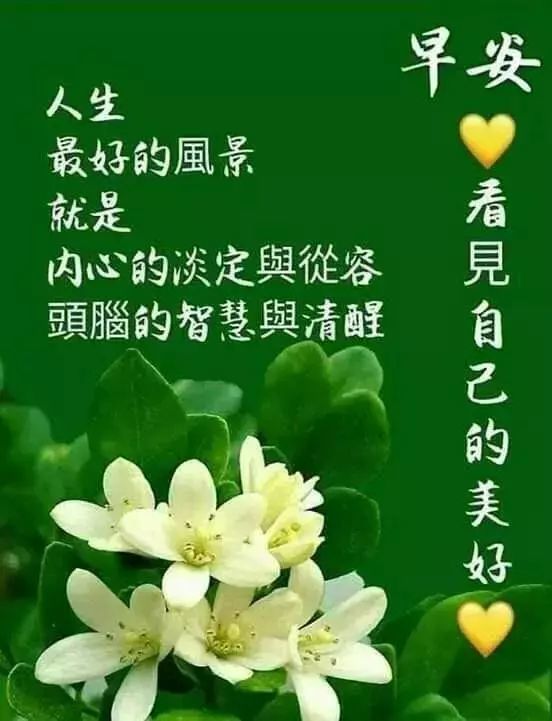 清晨送朋友的阳光早安问候语特漂亮早上好祝福动图美句