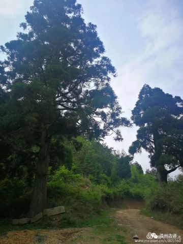 邵姓人口多少_人口普查图片(2)