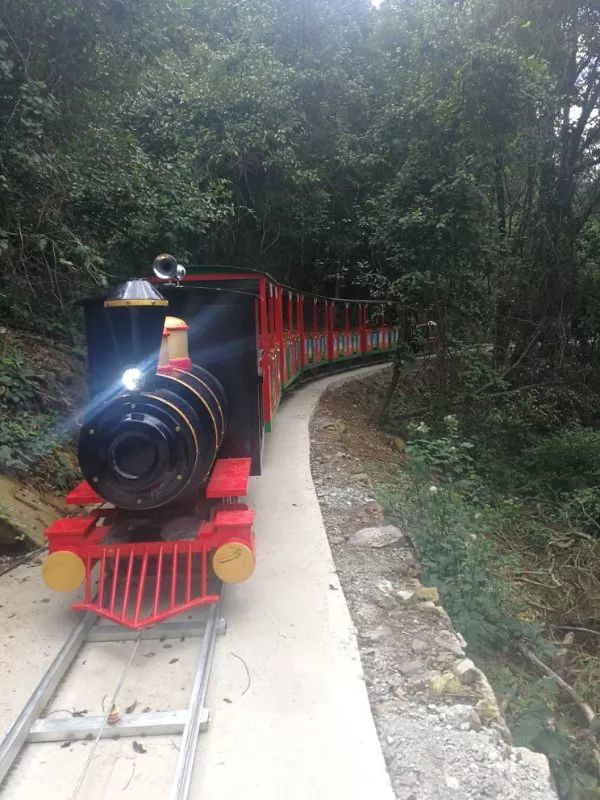 森林小火车就是在森林中行驶的交通工具,是许多人梦中童话世界的产物
