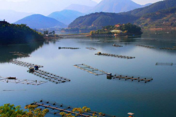 光提高GDP不重视(2)