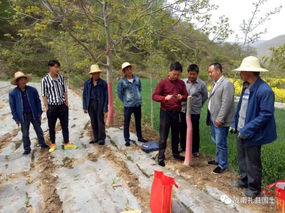 礼县雷坝:成功调解教面村村民宅基地权属纠纷