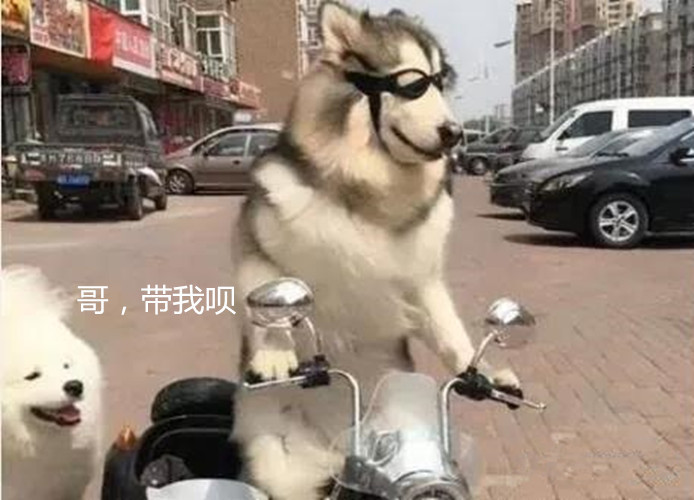 男子看见远处驶来辆车,本想搭个顺风车,看清后路都走