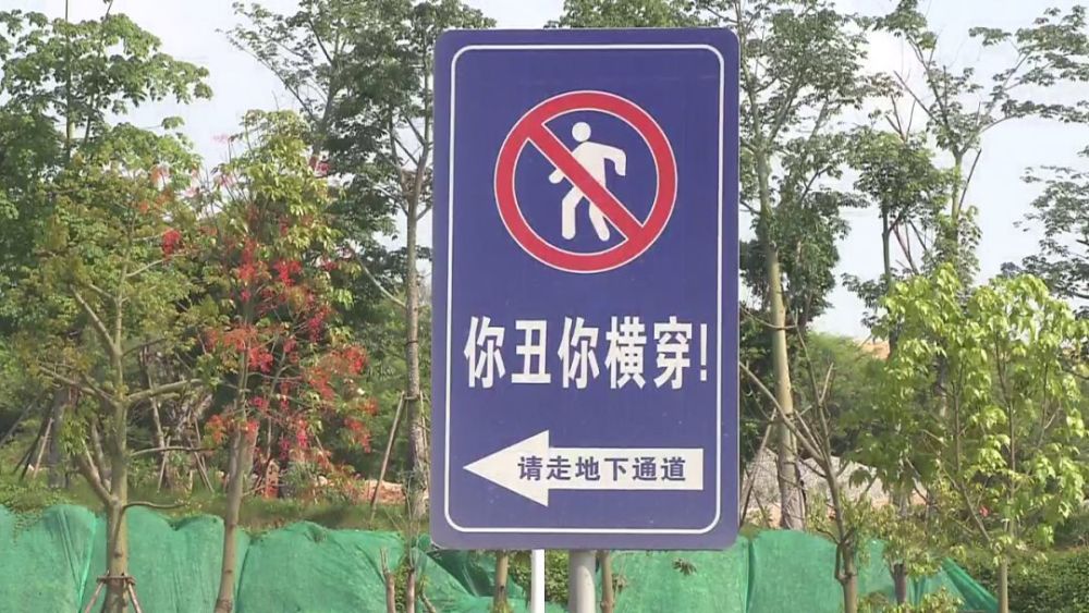 特区新闻调查丨路边惊现硬核广告牌,行人:"扎心了"!