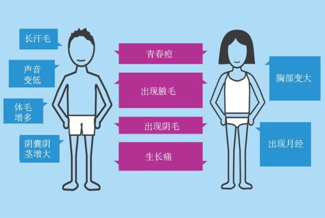 50-75%   答案解析   是的,你没有看错,超过半数的青春期男孩子会