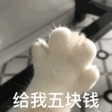 10   给我五块钱猫爪表情包gif