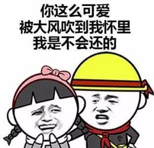 火了"示爱"表情包,你这么可爱,被大风吹到我怀里我是不会还的