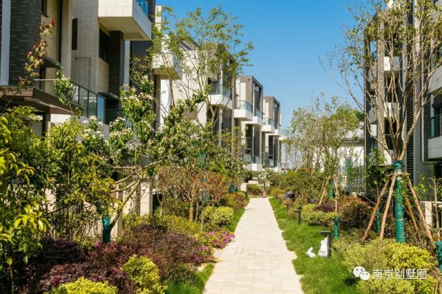 南京别墅排名_南京必去景点排名