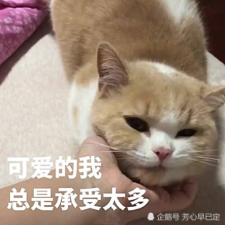 聊天不知道回啥?表情包丢出去,乖乖坐等他来"撩"你!