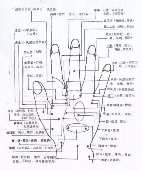 手掌穴位按摩方法--治疗全身疾病指背部有弯曲:易患泌尿系统疾病,指