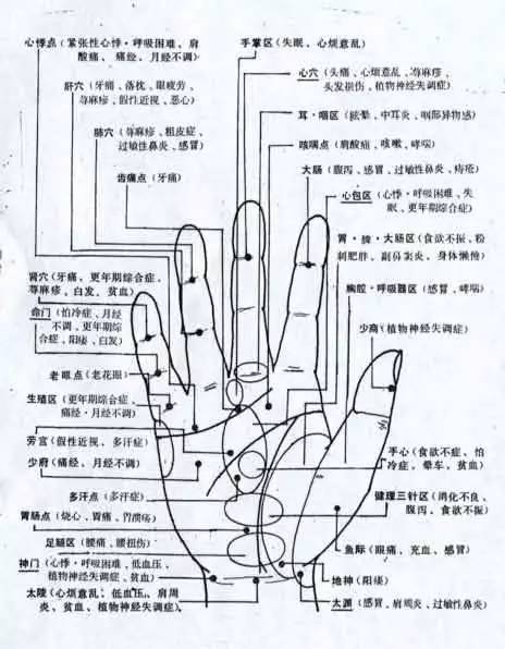 手诊 手疗治病大全【知识点较多,建议收藏,反复观看】