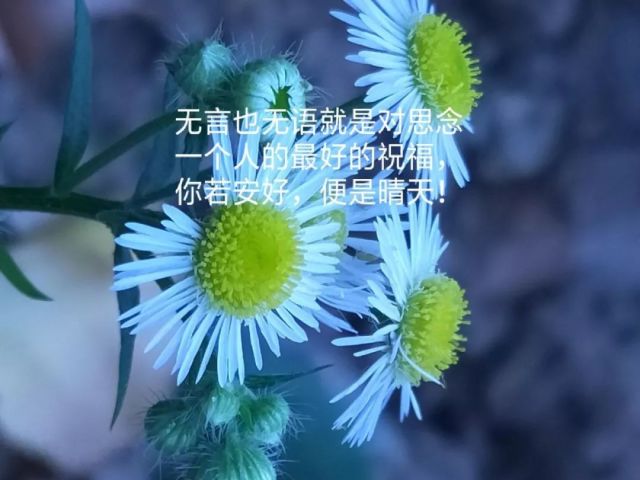 《今生今世跟你走》一首藏歌,歌声如天籁
