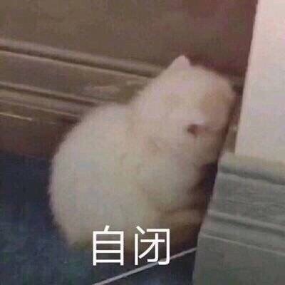 小仙女发的"委屈惆怅"表情包:再不哄哄,你就会失去一