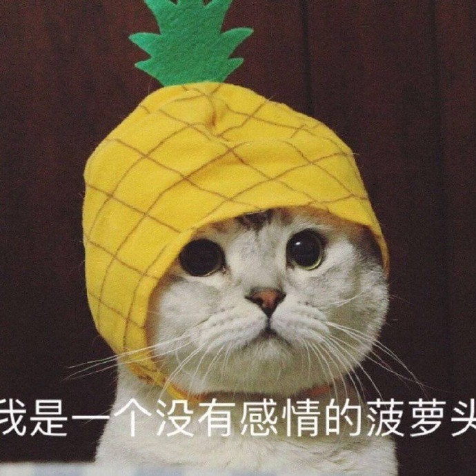小仙女发的"委屈惆怅"表情包:再不哄哄,你就会失去一