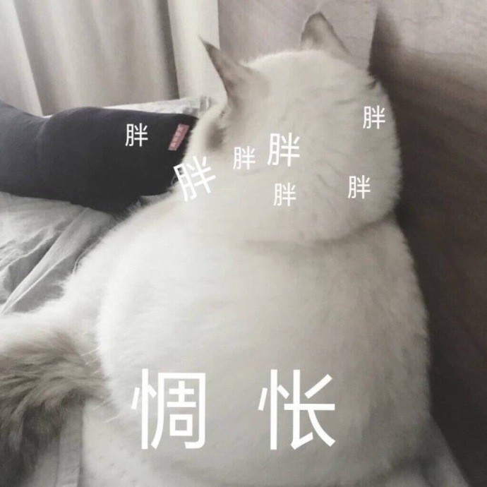 小仙女发的"委屈惆怅"表情包:再不哄哄,你就会失去一