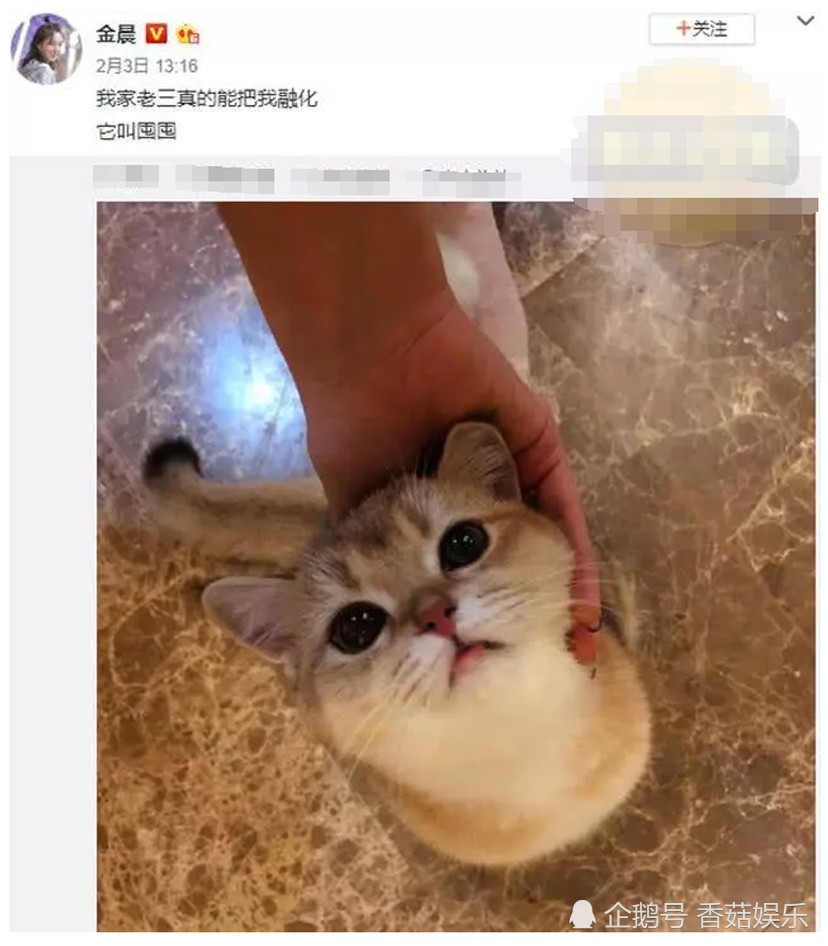 贾乃亮金晨双双否认!三方面疑点让这恋情难