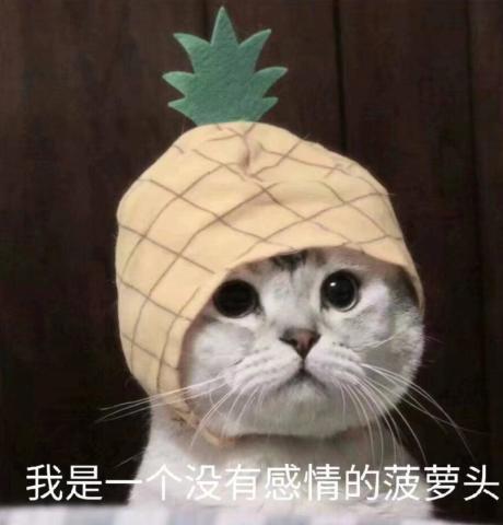 猫咪"冷漠"表情包:我是一个没有感情的菠萝头