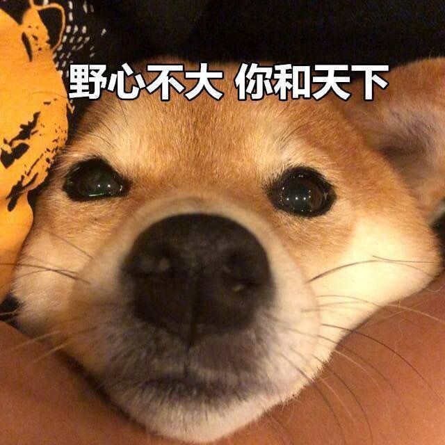 搞笑可爱的表情包,没关系呀,你不是抓到了我吗