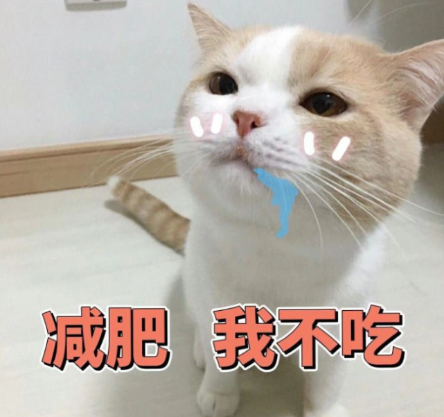 萌萌的搞笑表情包,你不乖头给你打歪