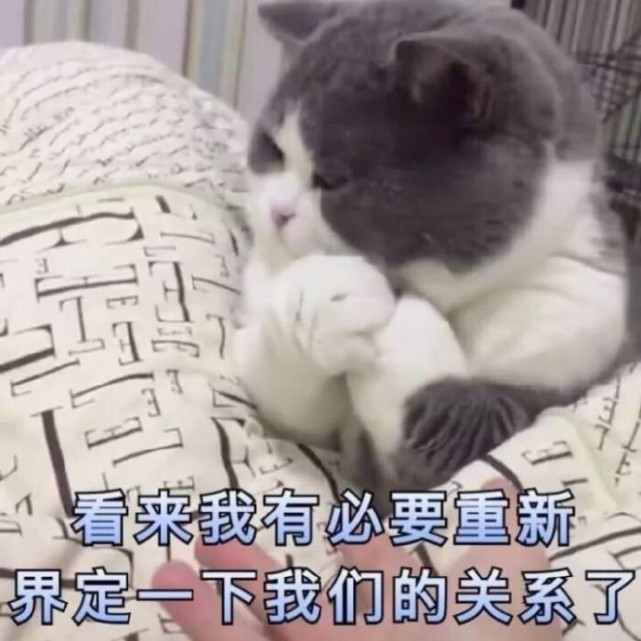 ins超火"搞笑"表情包:看来我有必要重新界定一下我们的关系