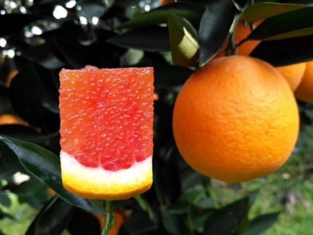 640
