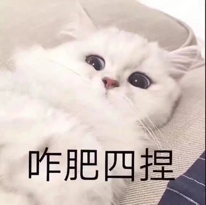 超奶思小奶猫表情包:咋肥四捏?甜甜的我属于你!再看我