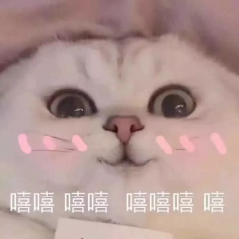 640