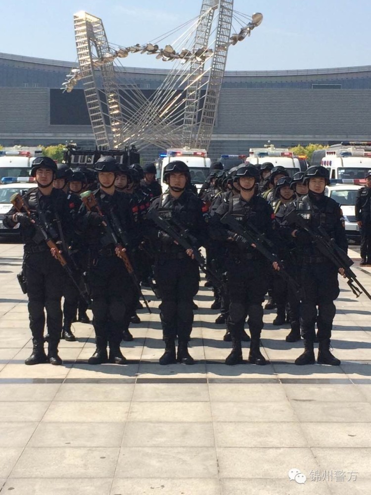 【警察故事】深入实地揭秘锦州特警突击队