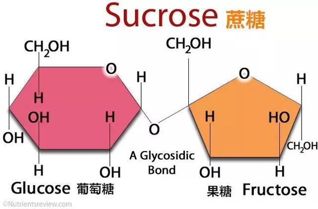 米饭的主要成分是淀粉,淀粉就是葡萄糖连在一起的长链,其实它也是糖