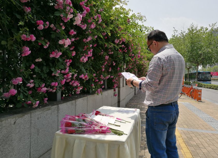 蔷薇花信:与君同呼吸