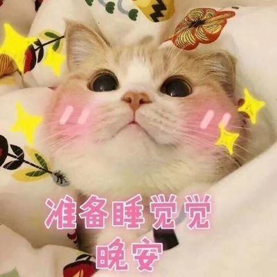 小奶猫表情包:看我卡姿兰大眼睛!我可爱吗?啊,我可不