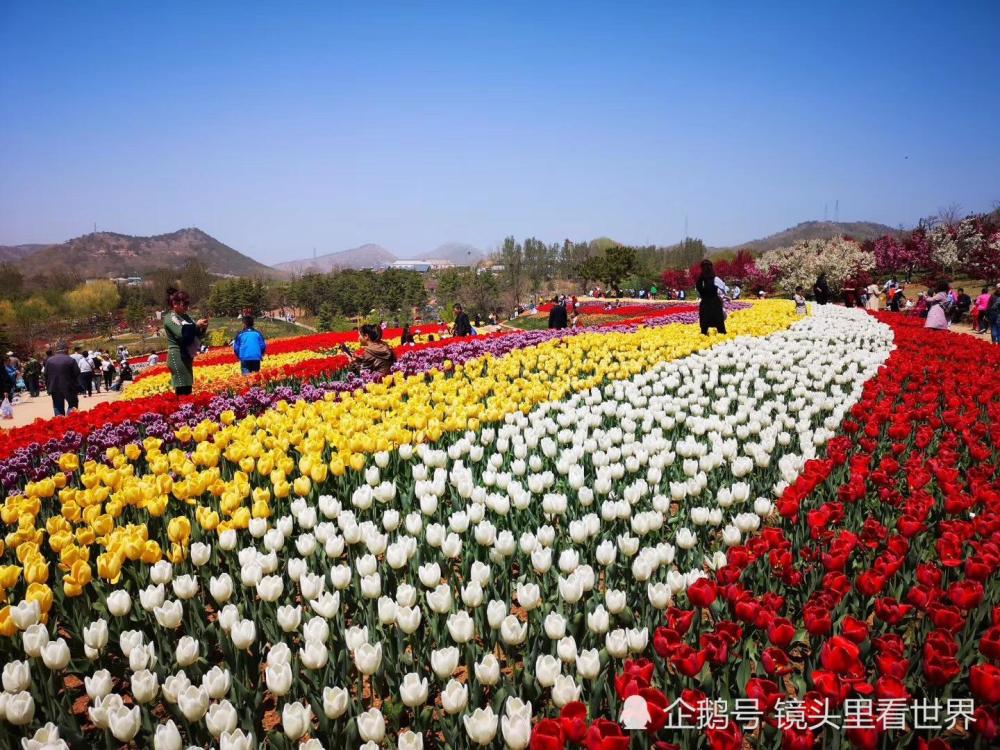 hi逛hi吃:五一赏花大连英歌石植物园